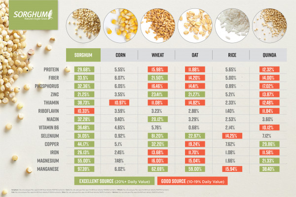 Oats vs Quinoa: Comparing Grain Options