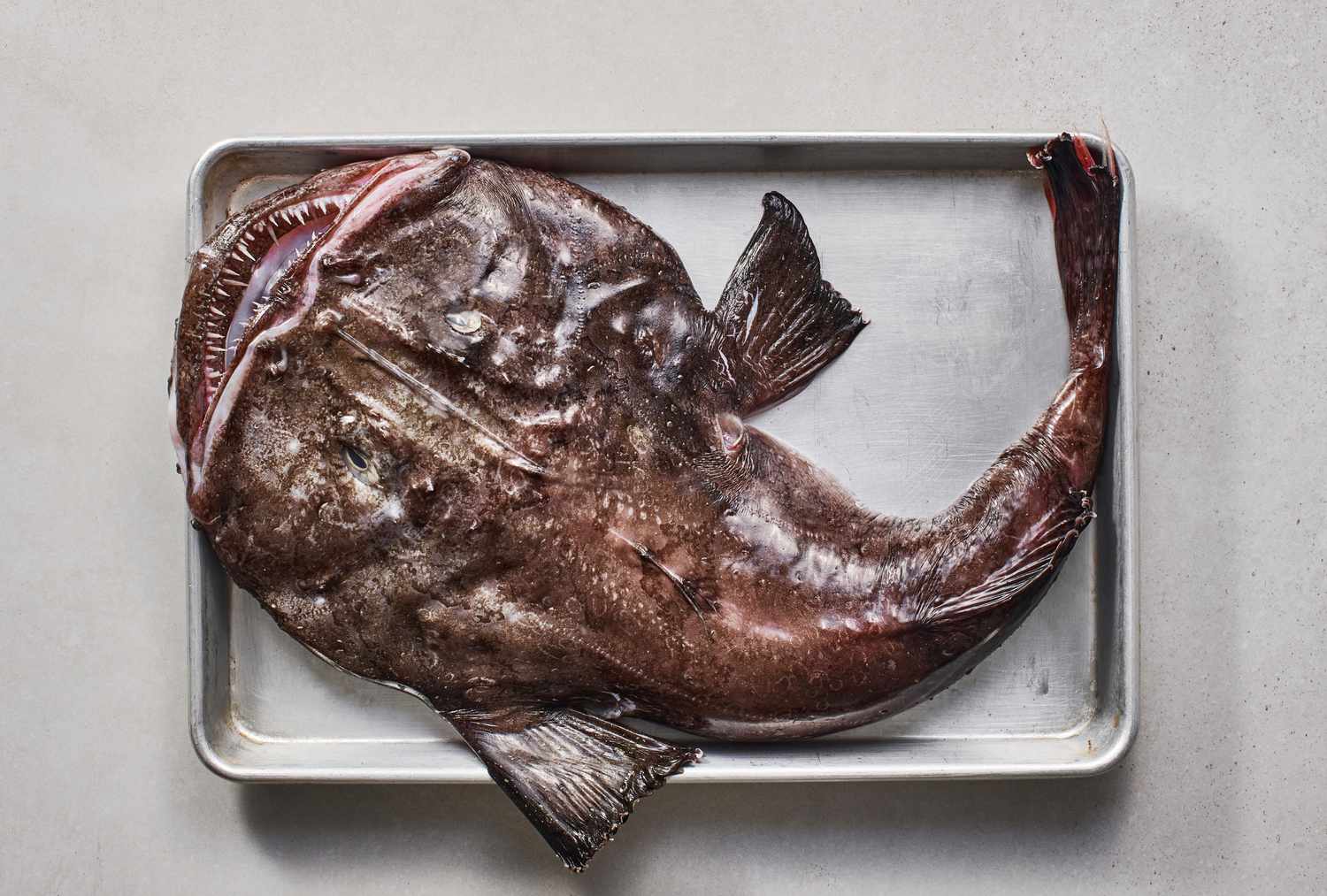 What Does Monkfish Taste Like: Describing the Flavor Profile